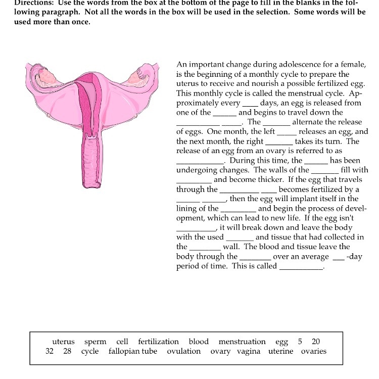 THE MENSTERUAL CYCLE Fill in the missing blanks-example-1