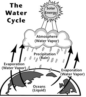 PLEASE HURRY IM TIMED According to the diagram of the water cycle, what happens to-example-1