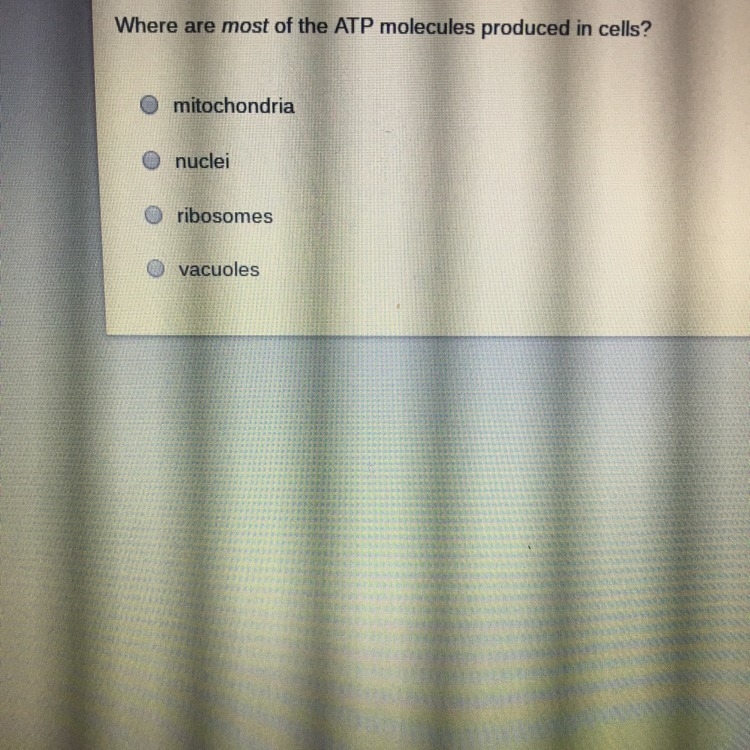 Where are most of the ATP molecules produced in cells-example-1