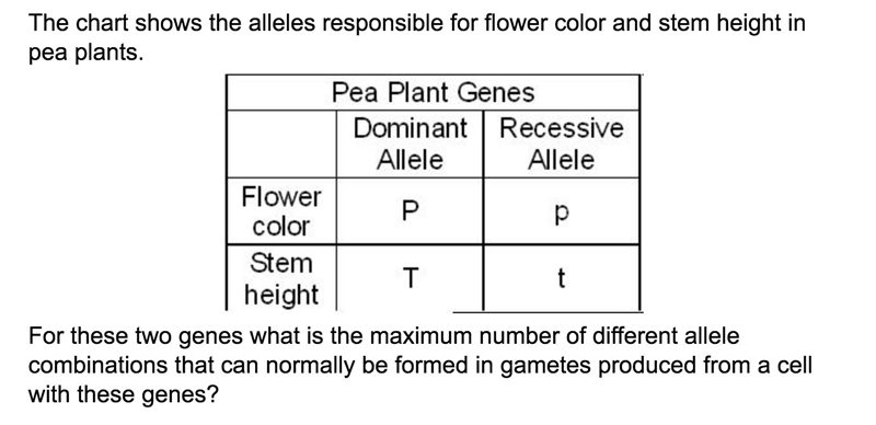 The chart shows the alleles responsible for flower color and stem height in pea plants-example-1