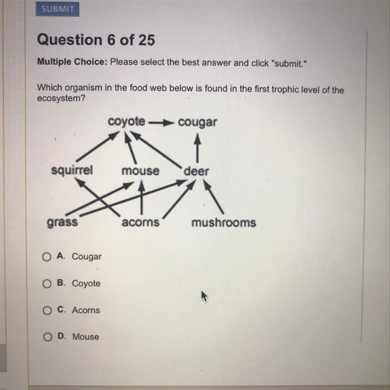 Which organism in the food web below is found in the first trophies level of the ecosystem-example-1