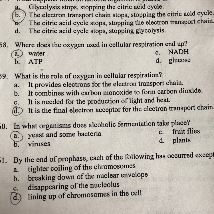 Need some help on #59-example-1