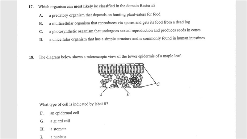 Can someone help me with this multiple choice question? (biology)-example-1