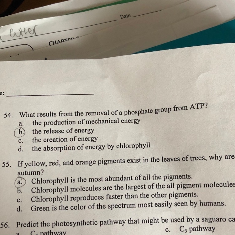 I️ need some help in question #54 Im pretty sure it’s either b or c-example-1