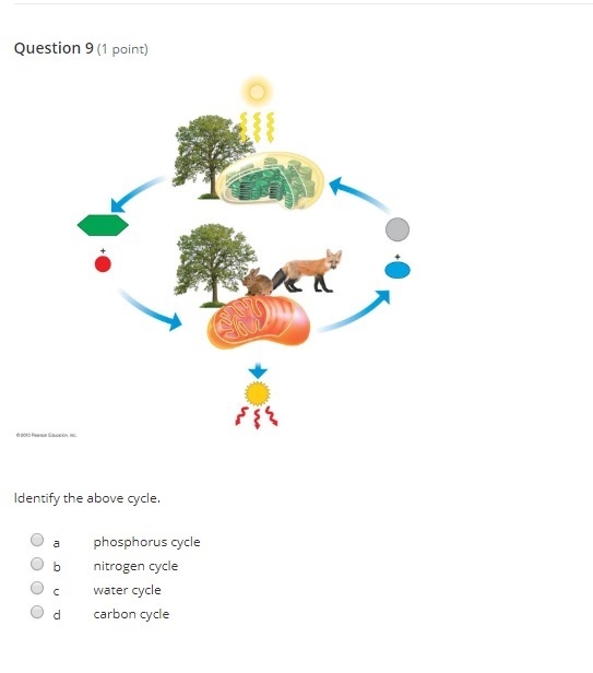 Can you please help please-example-1