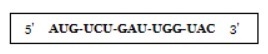 A short mRNA sequence is shown in the box below. Determine the DNA sequence from which-example-1