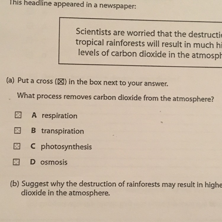 What process removed carbon dioxide ffron the atmosphere-example-1