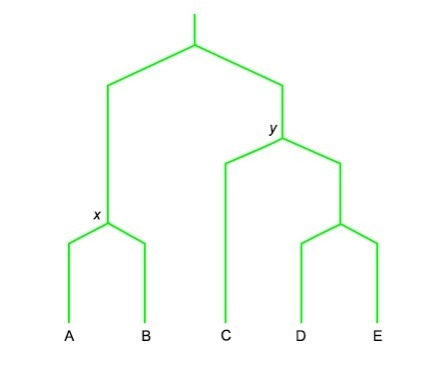 PLEASE HELP! 30 POINTS! Instructions: Select all the correct answers. Looking at the-example-1