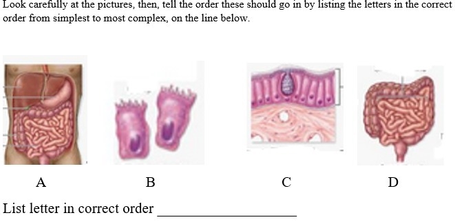 Please Answer, Thanks!-example-1