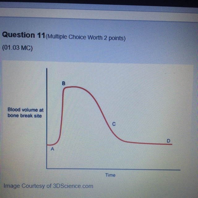 Based on the graph above which letter indicates the onset of hematoma at the break-example-1