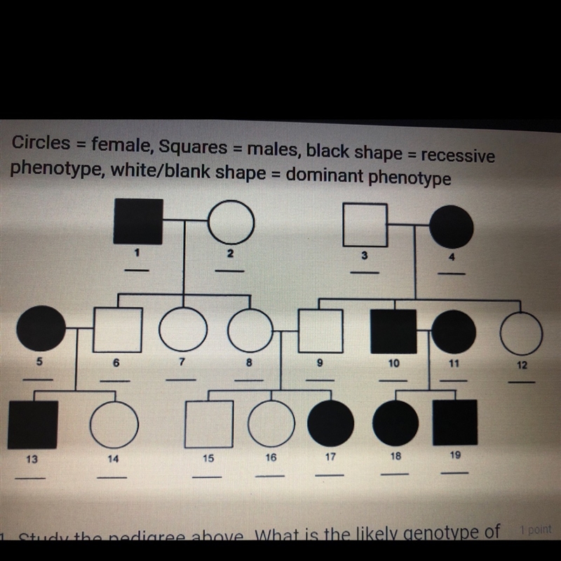 There’s more questions.... what is the likely genotype of the person #2-example-1