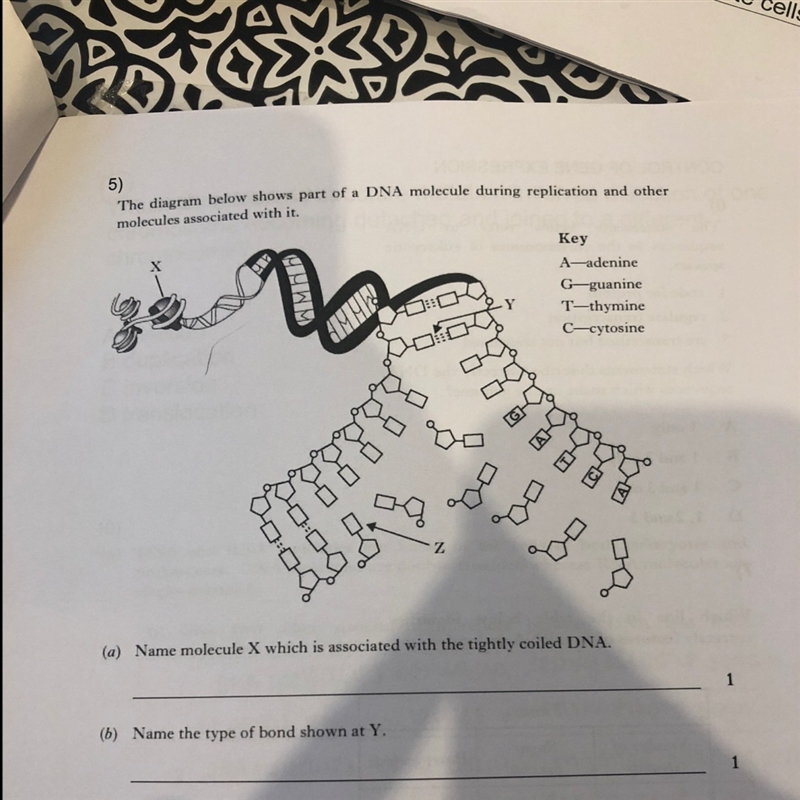 Biology question 5. a) & b) please-example-1