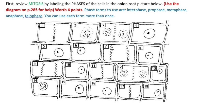 I need help with this-example-1