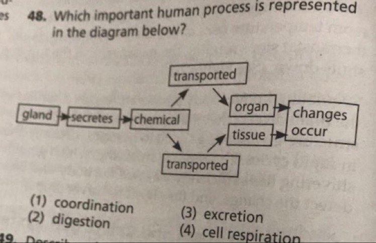 Need help with this for my bio homework, please help !-example-1