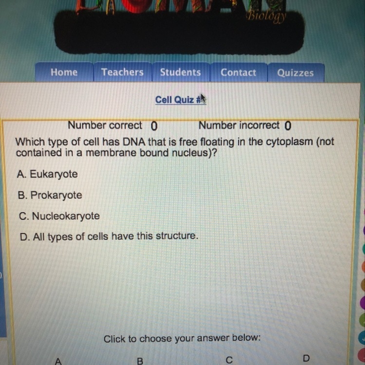 Which type of cell has dna that is free floating in the cytoplasm-example-1