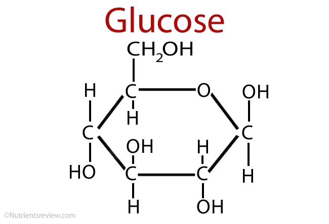 Glucose is a carbohydrate that is made by plants and used by both plants and animals-example-1