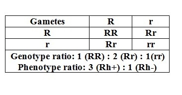 The Rh factor is a protein found on the surface of red blood cells. The Rh factor-example-1