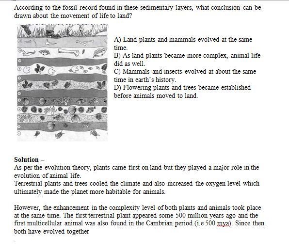 According to the fossil record found in these sedimentary layers, what conclusion-example-1