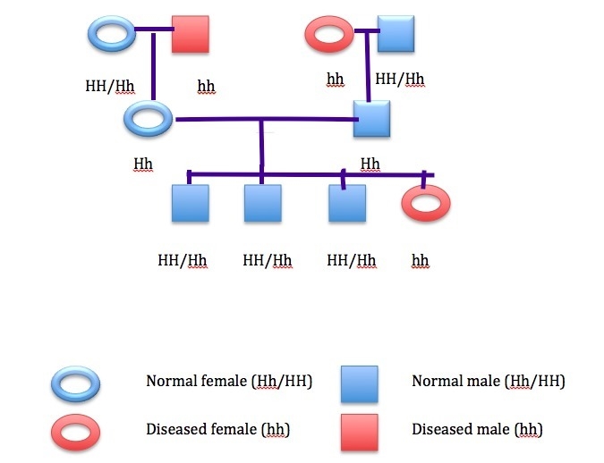 Some members of david's family have an autosomal recessive disease. david does not-example-1