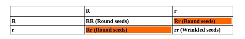 If two heterozygous plants mated, what fraction of the progeny with round seeds are-example-1