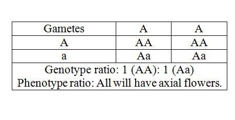 A student crosses two pea plants. In this species, the allele for axial flowers is-example-1