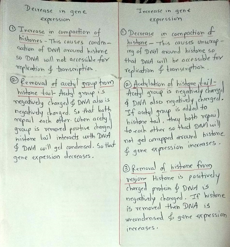 Determine whether each described change to chromatin structure would increase or decrease-example-1