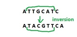 Which mutation does the given change in nucleotide sequence represent? ATTGCATC → ATACGTTCA-example-1