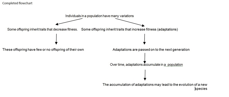 Below is a partially completed flowchart that models how natural selection drives-example-2