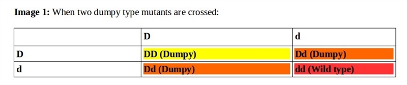 Dumpy” is a commonly used mutant phenotype in the nematode worm c. elegans. two “dumpy-example-2