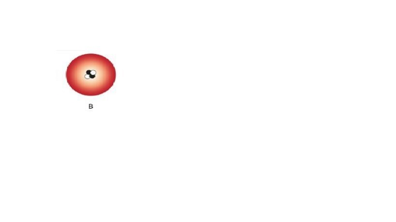 The first model represents the proton and neutron distribution in the nucleus of four-example-1