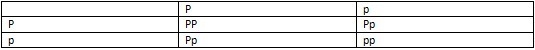 Suppose that a dominant allele (P) codes for a polka-dot tail and a recessive allele-example-1