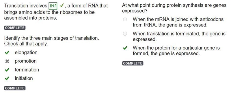 At what point during protein synthesis are genes expressed? When the mRNA is joined-example-1