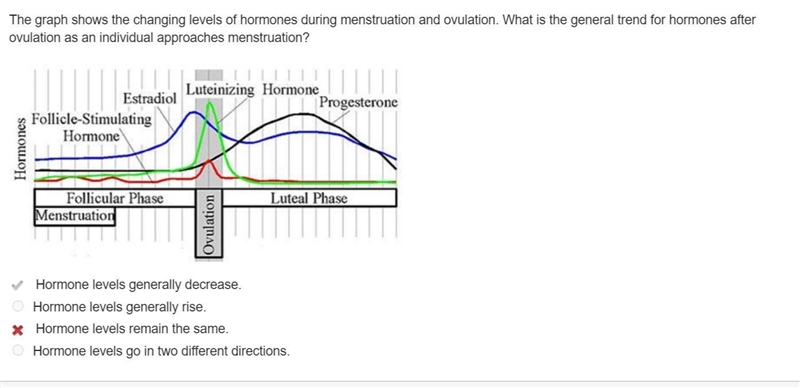 The secretion of the hormone __________ triggers __________. the secretion of the-example-1