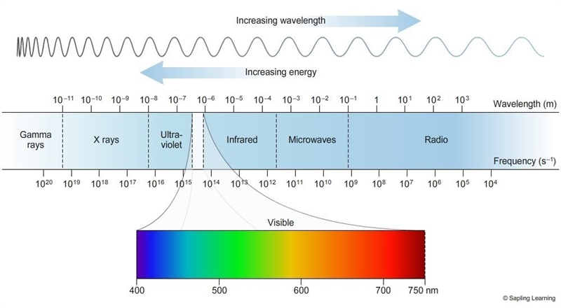 The picture lists light waves from left to right in order of highest to lowest energy-example-1