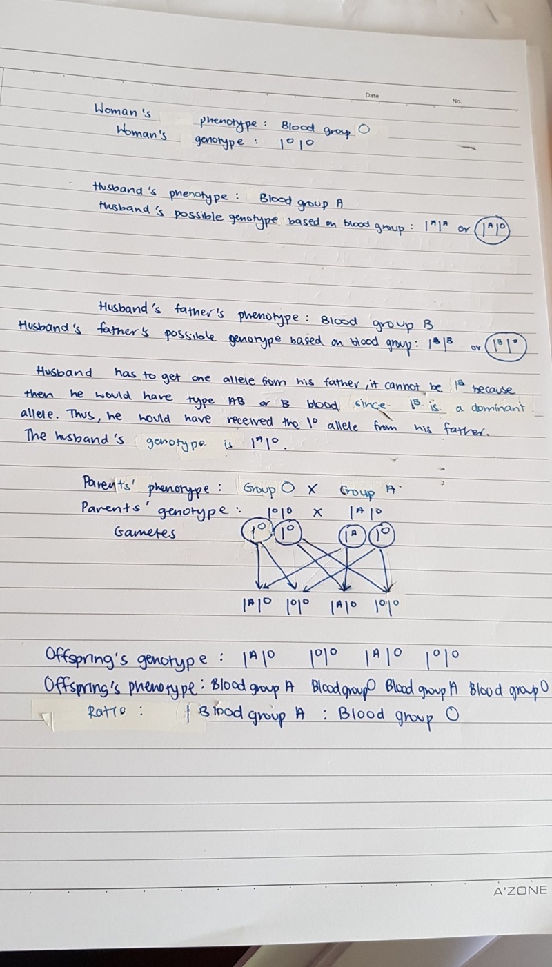 Human blood groups are governed by three alleles, a, b, and o. a and b are codominant-example-1