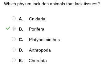 Choose the correct answer. Which phylum includes animals that lack tissues? A. Cnidaria-example-1