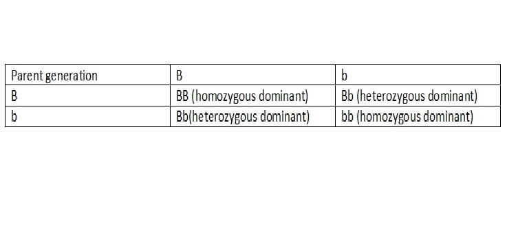 Guinea pig coat color is determined by a single gene. The allele for black coat color-example-1