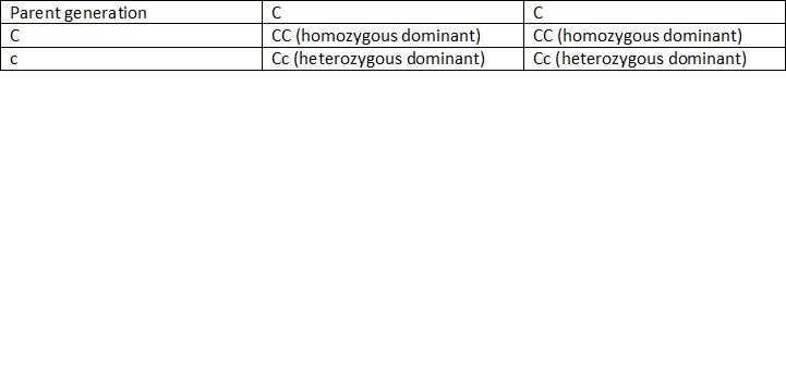 James is homozygous dominant for curly hair (cc), and his wife is heterozygous (cc-example-1