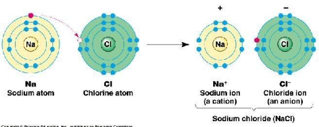 In an ionic compound, the attraction between actions and _________ hold the compound-example-1