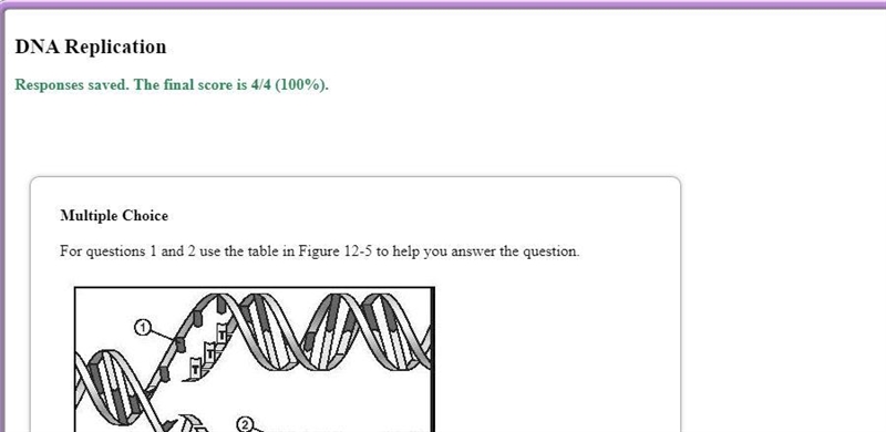 In Figure 12–5, what nucleotide is going to be added at point 2, opposite from guanine-example-1