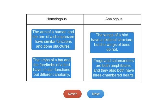 Classify the structures as homologous or analogous, depending on their structure and-example-1