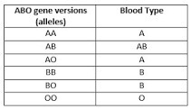 Please help me with this question!! (Biology) 23 Points!! Serious answer only!! Suppose-example-1