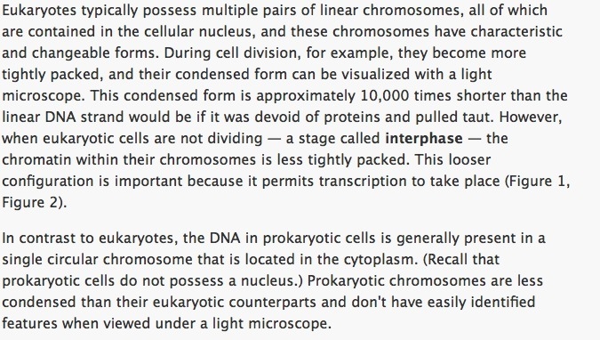 In Eukaryotes, replication occurs along ___________ along the chromosome.-example-2