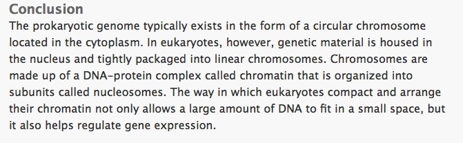 In Eukaryotes, replication occurs along ___________ along the chromosome.-example-3