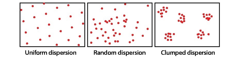 What does this image represent about population the black dots represent population-example-1