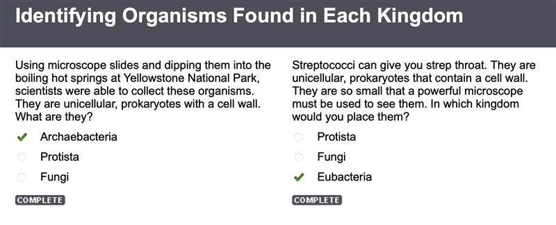 Streptococci can give you strep throat. They are unicellular, prokaryotes that contain-example-1