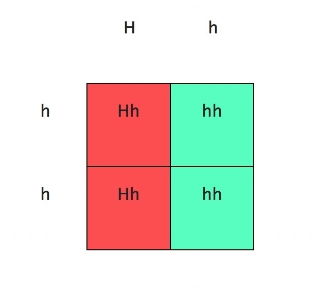 Huntington's disease is an autosomal dominant disorder that affects the nervous system-example-1