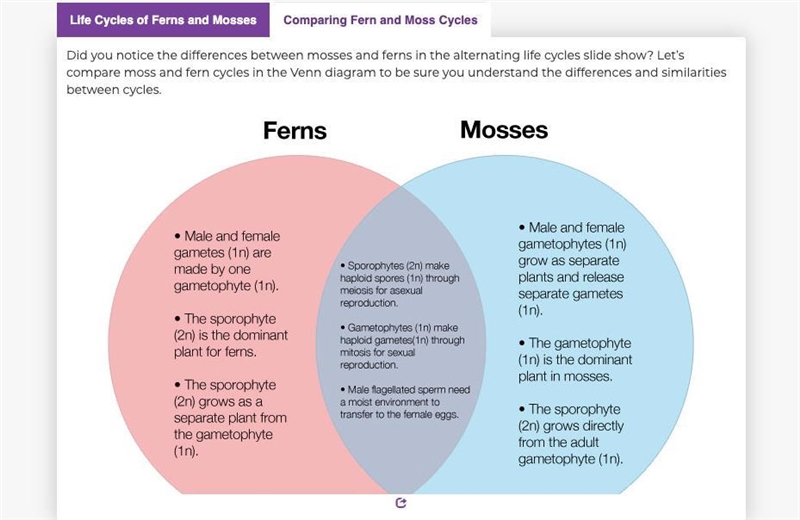 The gametophyte is the dominant stage of the life cycle in both mosses and ferns. in-example-1