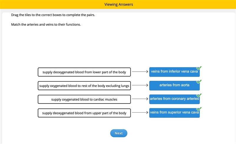 Match the arteries and veins to their functions. arteries from aorta veins from superior-example-1