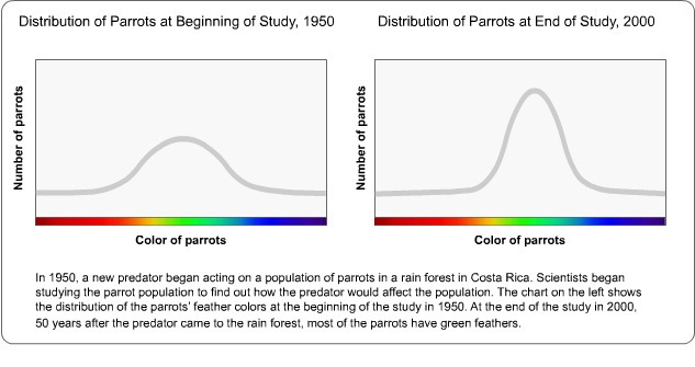 Which type of selection is illustrated by these two graphs?-example-1